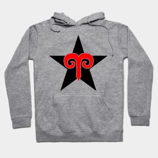 Aries Hoodie